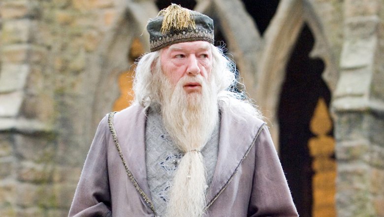 Professor Dumbledore