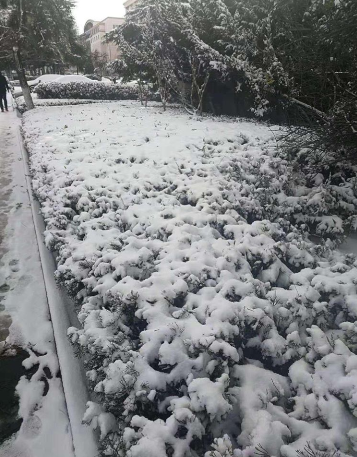 雪景（超美，可惜没机会亲眼见到）